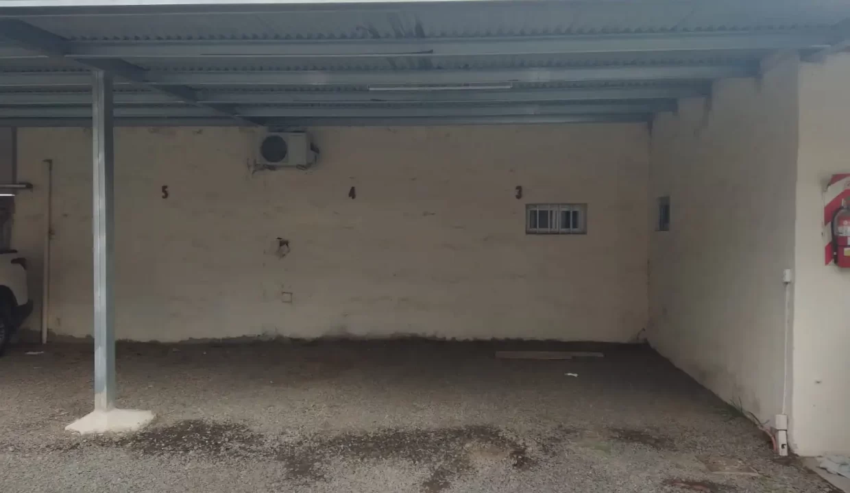 WhatsApp Image 2024-04-24 at 8.30.39 AM